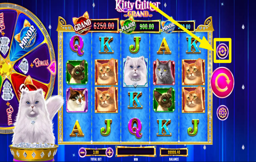 Kitty Glitter Grand ACTIVER L'ESSORAGE AUTOMATIQUE.