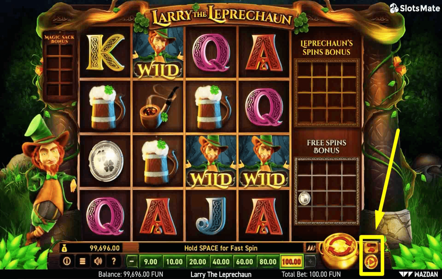 Larry the Leprechaun Utilizzando la funzione opzionale "Autoplay" e "Turbo".