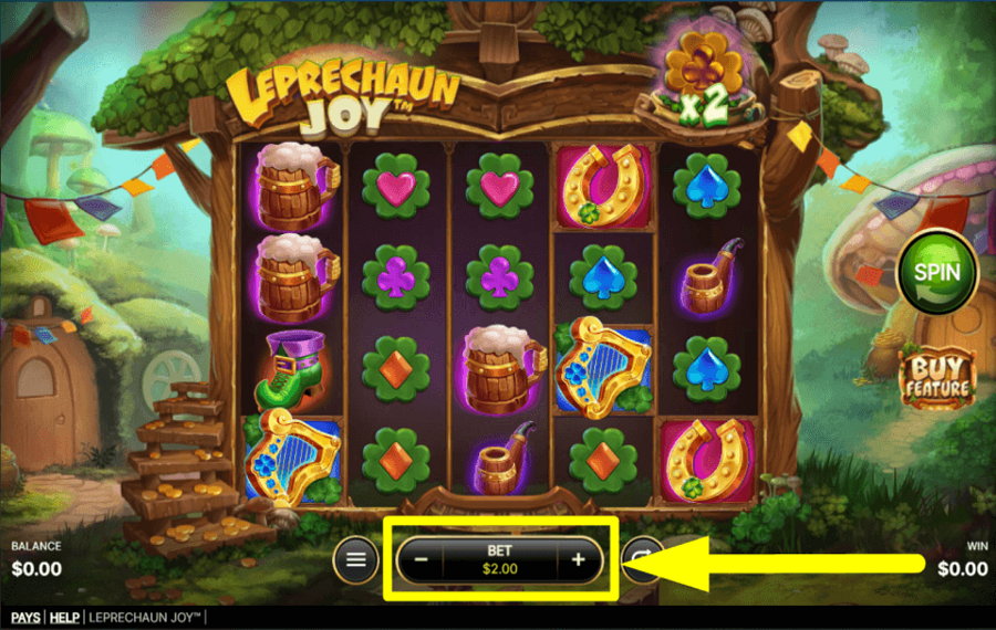 Leprechaun Joy FIXEZ LA MISE TOTALE.