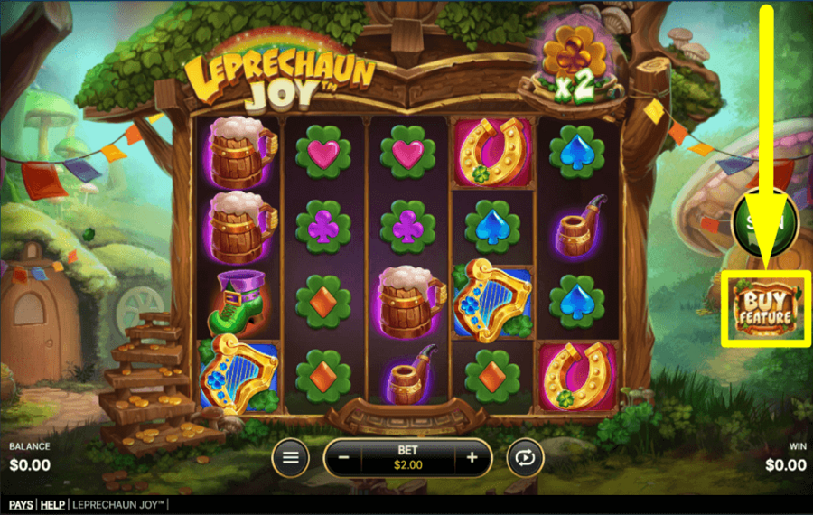 Leprechaun Joy ACHETEZ LES CARACTÉRISTIQUES.