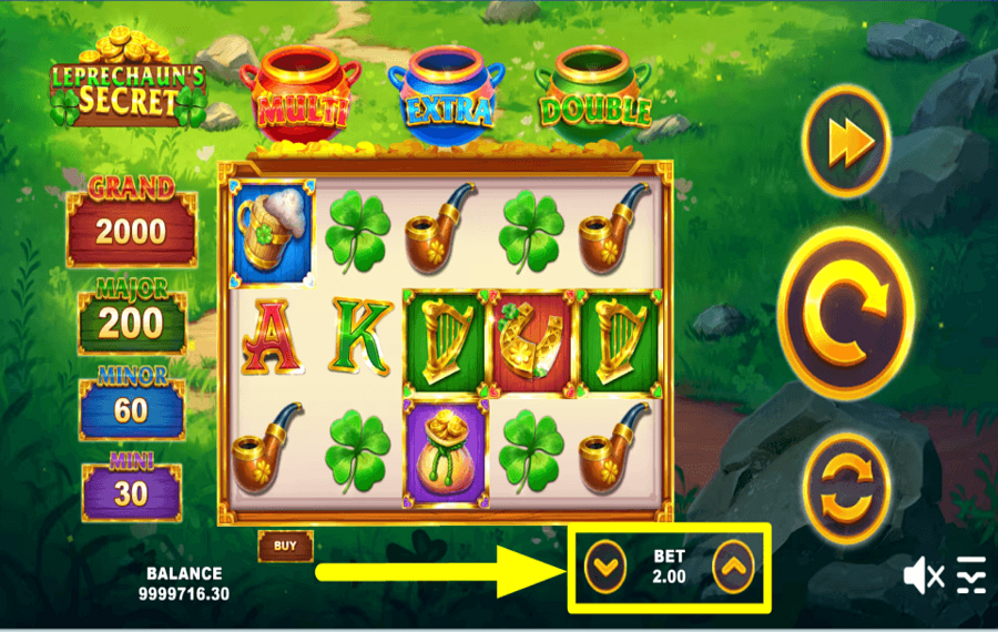 Leprechauns Secret SET THE STAKE.