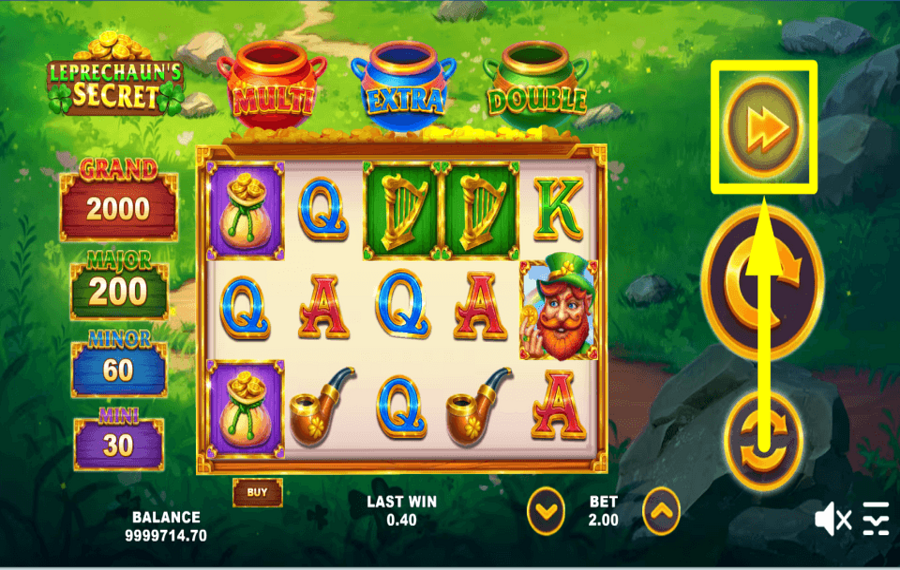 Leprechauns Secret STEP UP THE PACE.