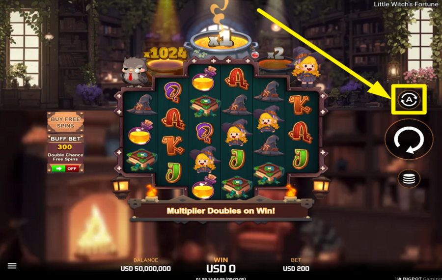 Little Witch Fortune UTILISEZ LA FONCTION DE LECTURE AUTOMATIQUE.