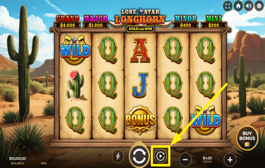 Lone Star Longhorn Hold and Win USE AUTOMATED SPINNING.