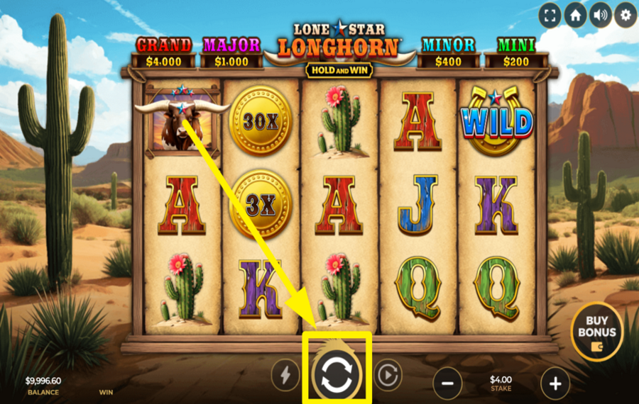 Lone Star Longhorn Hold and Win LET THE FUN BEGIN!