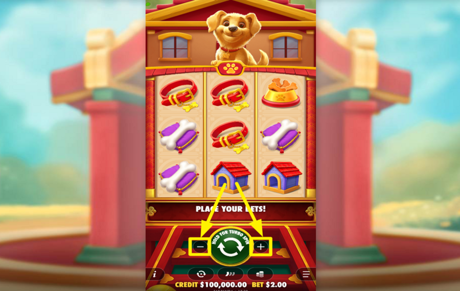 Lucky Dog SPECIFY YOUR WAGER.