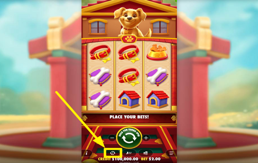 Lucky Dog UTILIZE AUTOPLAY.