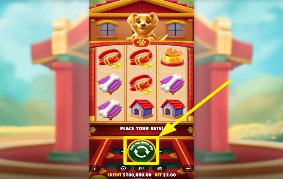 Lucky Dog LET THE FUN BEGIN!