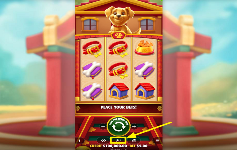 Lucky Dog QUICKEN THE GAME.