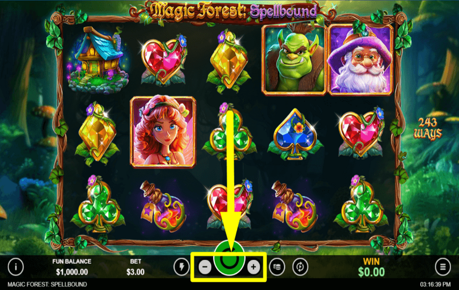 Magic Forest Spellbound FIXEZ LA MISE TOTALE.