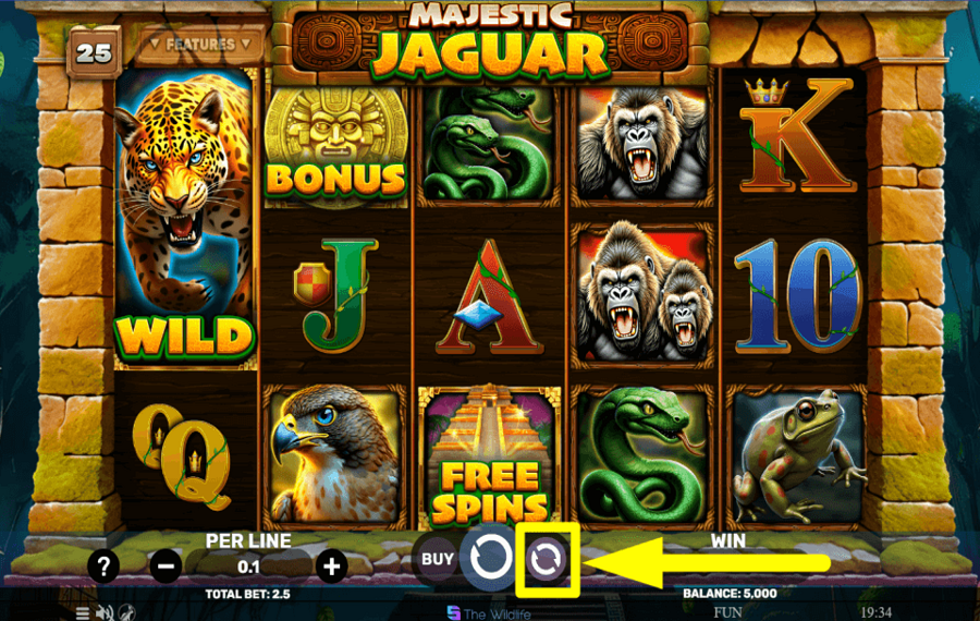 Majestic Jaguar DÉMARRER LA LECTURE AUTOMATIQUE.