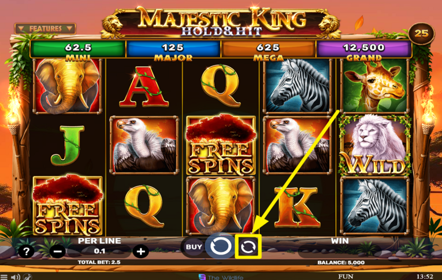 Majestic King Hold and Hit ACTIVER LA LECTURE AUTOMATIQUE.