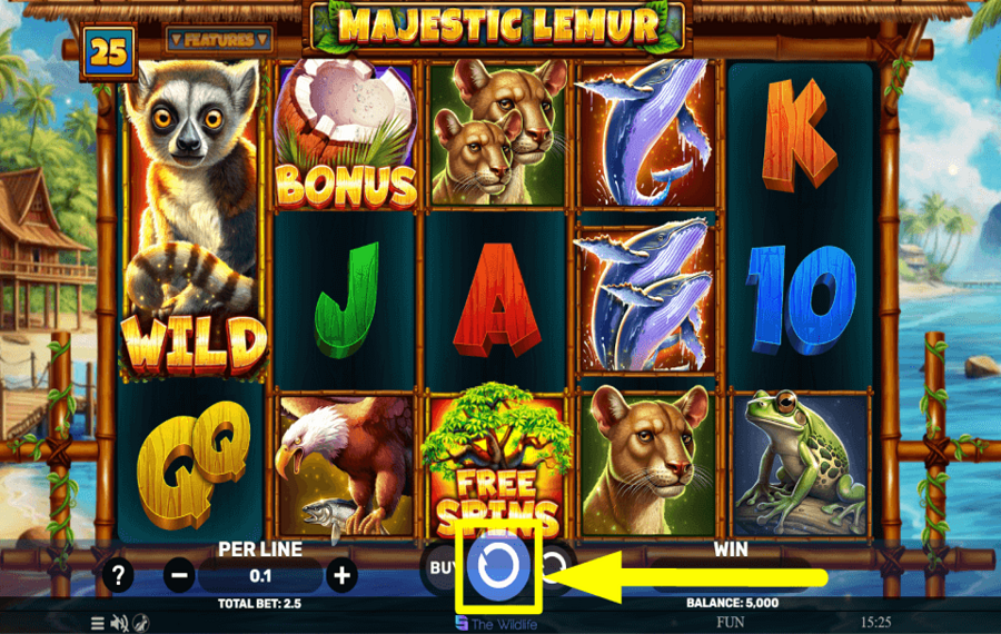 Majestic Lemur FAITES TOURNER LES BOBINES.