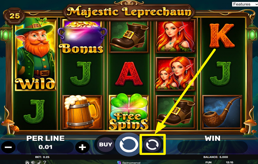 Majestic Leprechaun ACTIVER LA LECTURE AUTOMATIQUE.