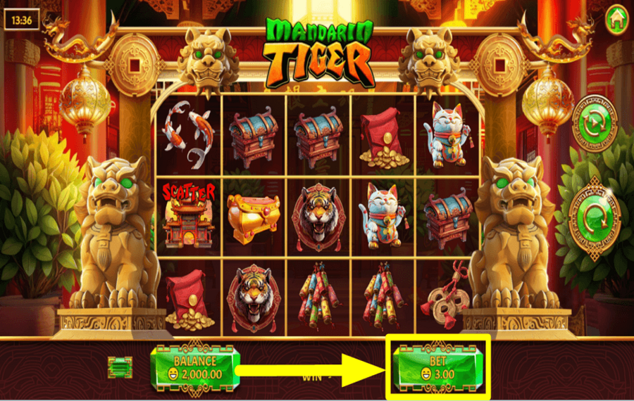 Mandarin Tiger СДЕЛАЙТЕ ОБЩУЮ СТАВКУ.