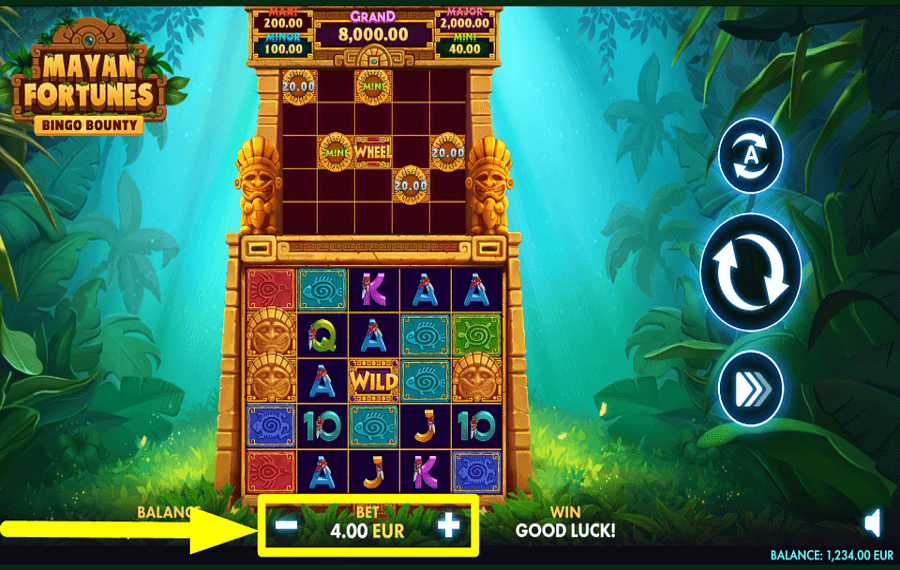 Mayan Fortunes Bingo Bounty ОПРЕДЕЛИТЕ СТАВКУ.