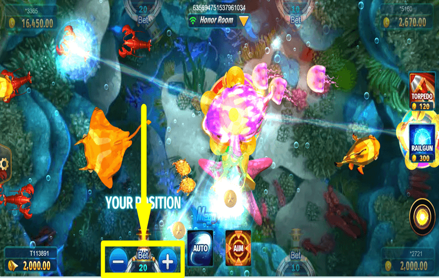 Mega Fishing DETERMINE YOUR WAGER.