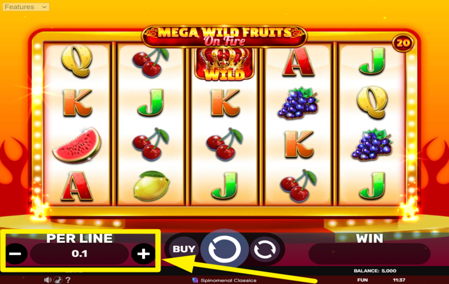 Mega Wild Fruits On Fire ASSIGN A BET VALUE PER LINE.