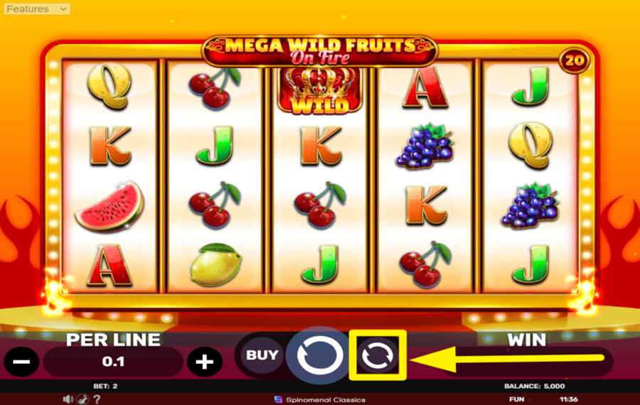 Mega Wild Fruits On Fire SPIN THE REELS AUTOMATICALLY.