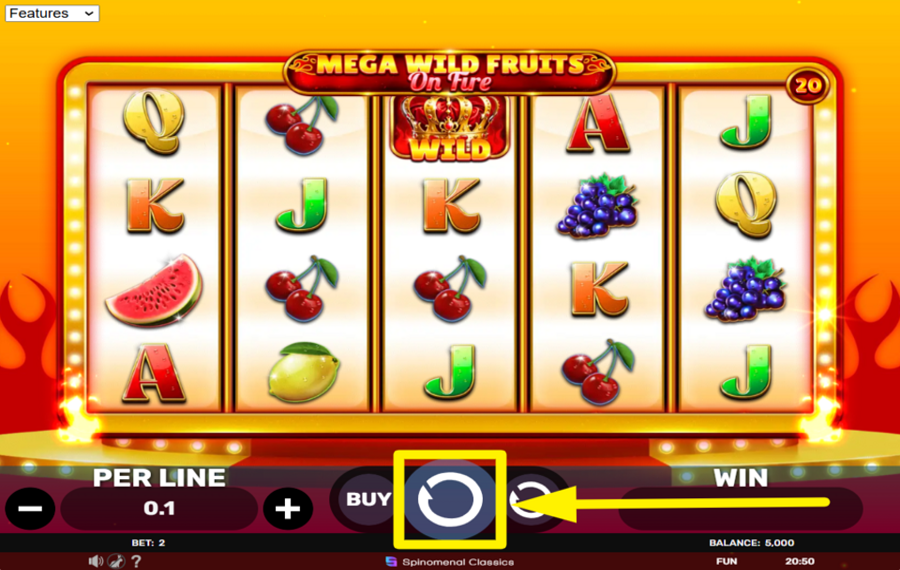 Mega Wild Fruits On Fire PLAY THE GAME.