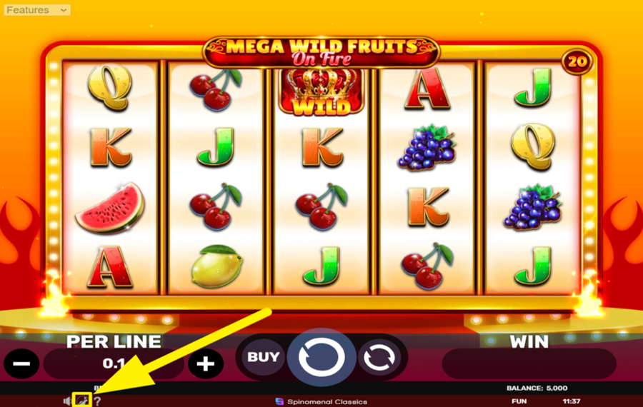 Mega Wild Fruits On Fire QUICKEN THE SPINS!