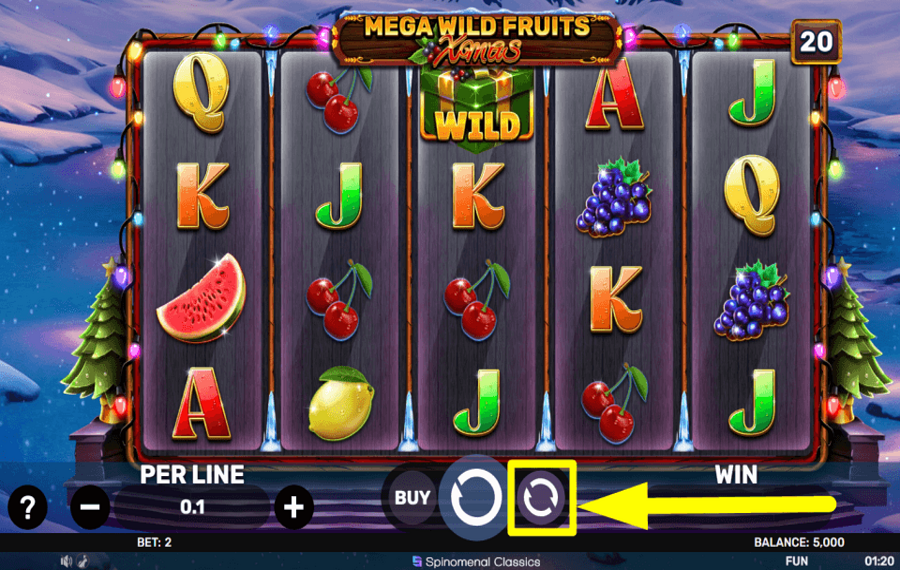 Mega Wild Fruits Xmas AUTOPLAY EINRICHTEN.