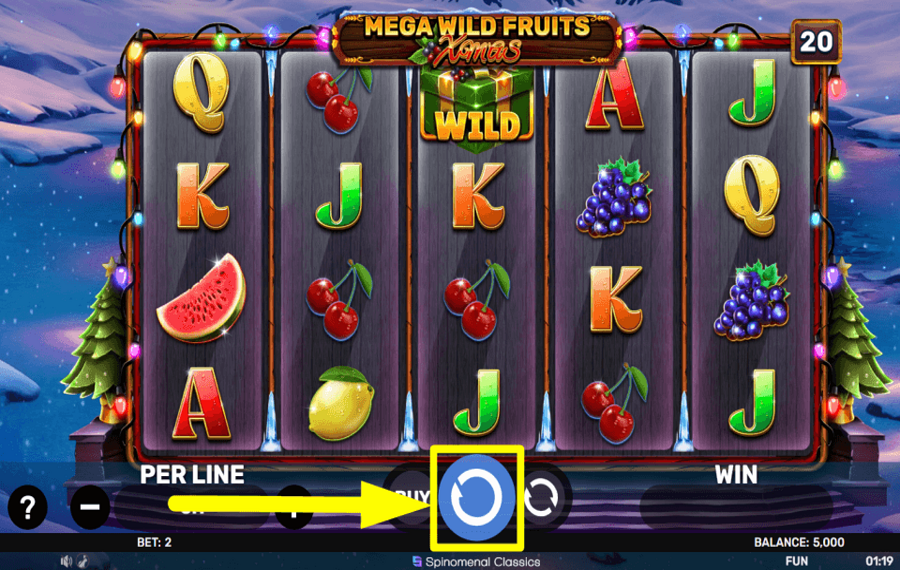 Mega Wild Fruits Xmas DREHEN SIE DIE ROLLEN.
