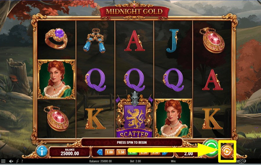 Midnight Gold ATTIVA LA RIPRODUZIONE AUTOMATICA.