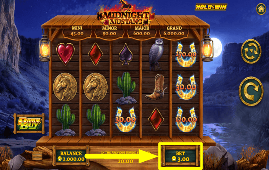 Midnight Mustang УСТАНОВИТЕ СВОЮ СТАВКУ.