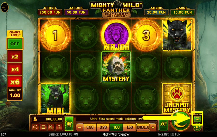 Mighty Wild Panther ACCELERATE THE GAME.
