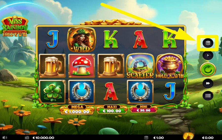 Miss Rainbow Hold and Win Определитесь со своей ставкой.