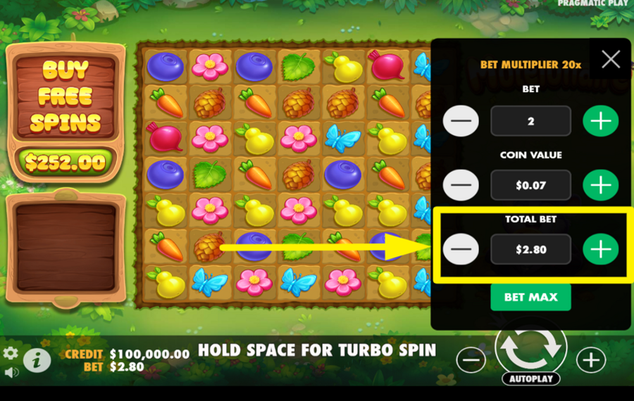 Moleionaire Legen Sie den Gesamteinsatz fest.