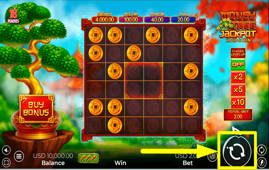 Money Tree Jackpot È ORA DI GIOCARE D'AZZARDO.
