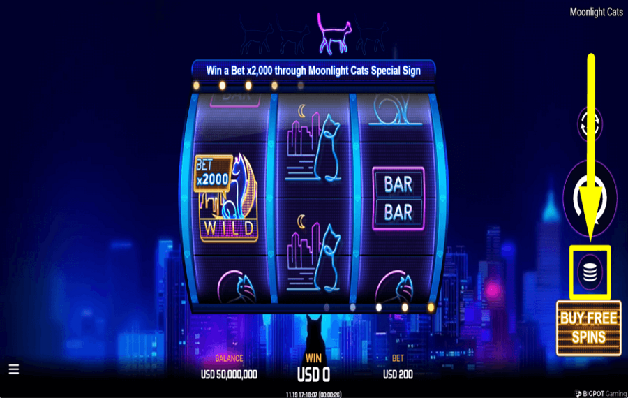 Moonlight Cats ДЕЛАЙТЕ СВОЮ СТАВКУ.