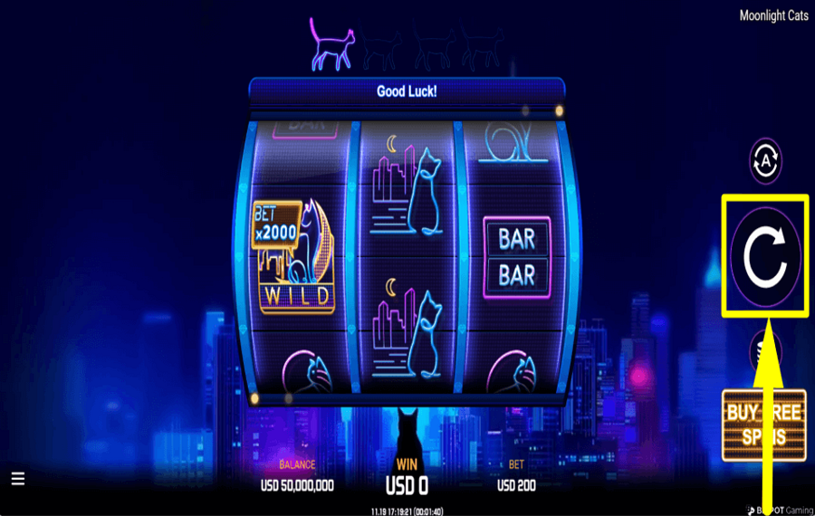 Moonlight Cats НАЧНИТЕ АЗАРТНЫЕ ИГРЫ.