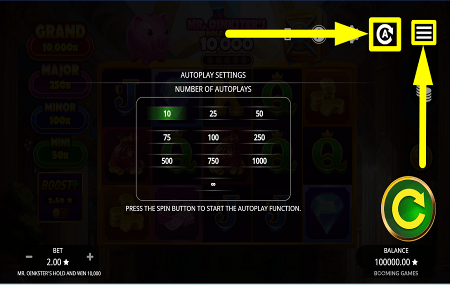Mr Oinksters Hold and Win 10000 UTILISER LA LECTURE AUTOMATIQUE.