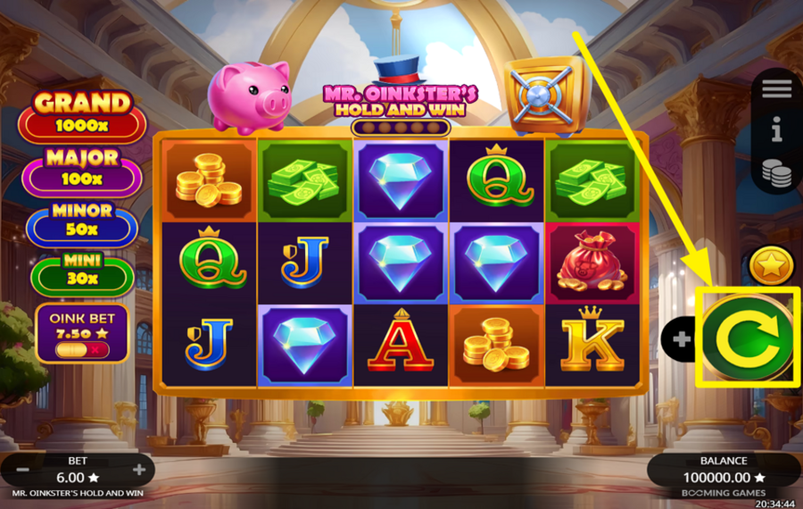 Mr Oinksters Hold and Win TOURNEZ POUR RÉUSSIR !