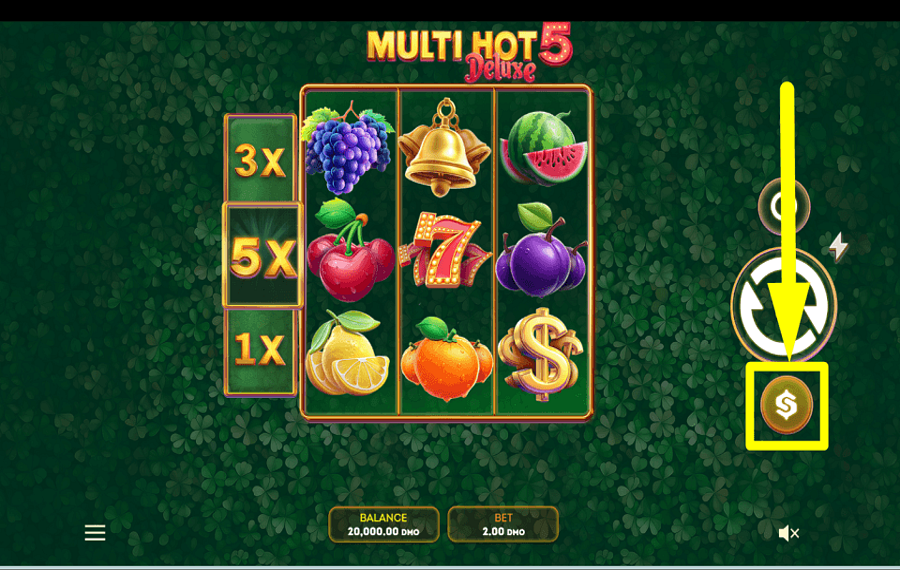 Multi Hot 5 Deluxe PLACE YOUR WAGER.