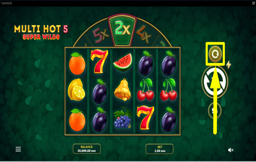 Multi Hot 5 Super Wilds PROCEED AUTOMATICALLY.