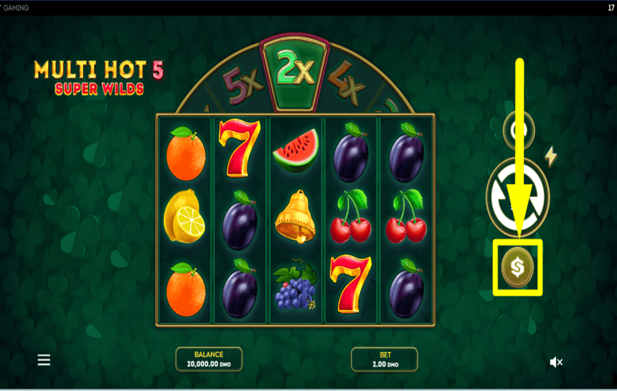 Multi Hot 5 Super Wilds PLACE YOUR WAGER.