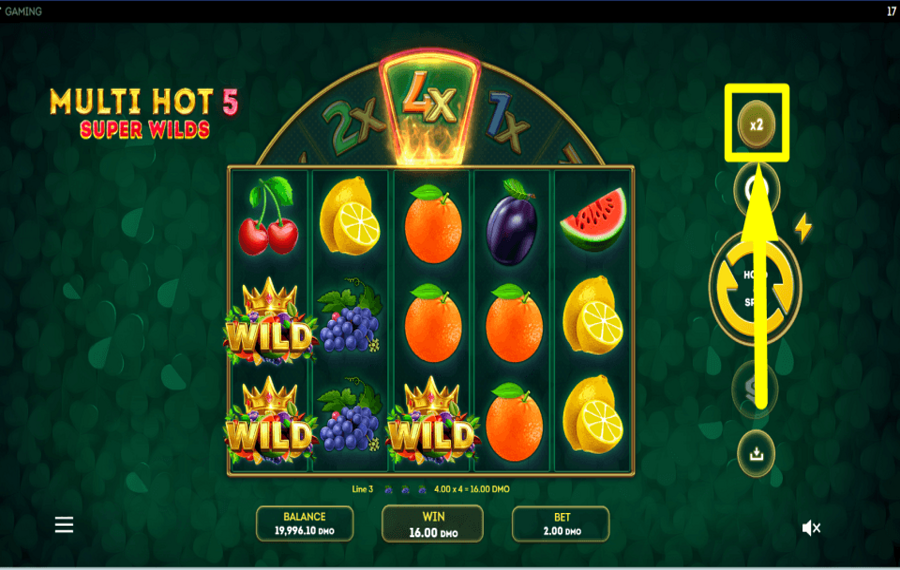 Multi Hot 5 Super Wilds PREPARE TO GAMBLE.