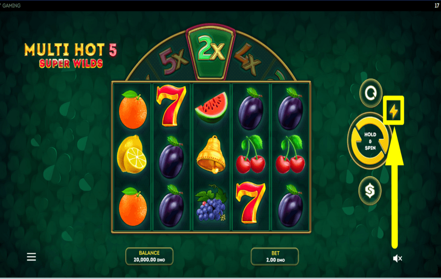 Multi Hot 5 Super Wilds PICK UP THE PACE.