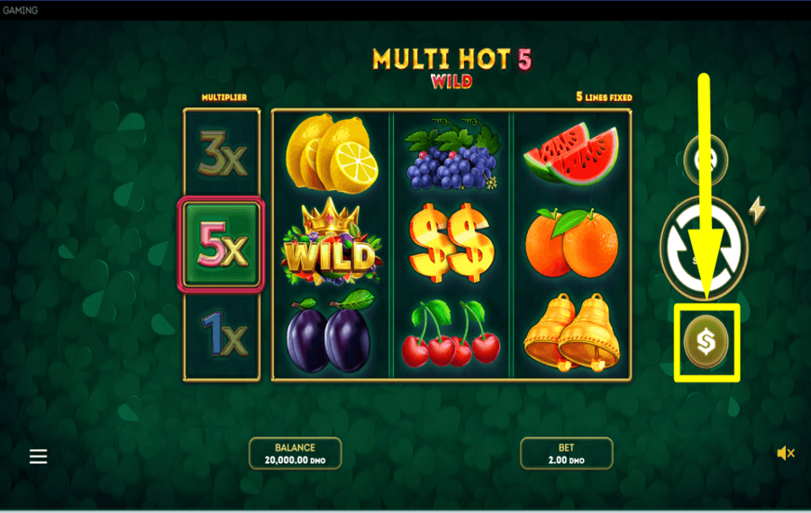 Multi Hot 5 Wild ELIGE TU APUESTA.