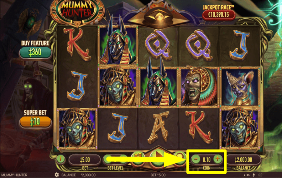 Mummy Hunter PLACE THE COINS.