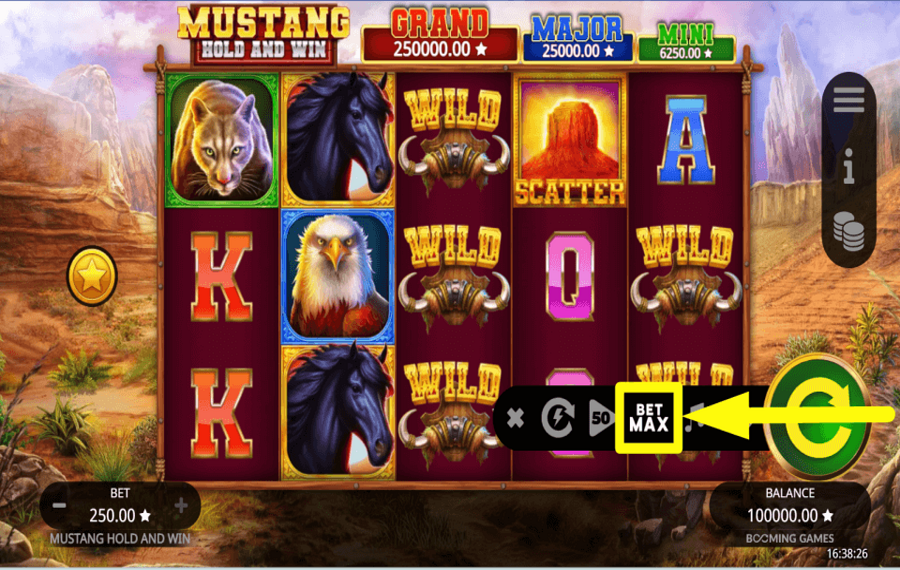Mustang Hold and Win METTEZ TOUTES VOS PIÈCES EN JEU.