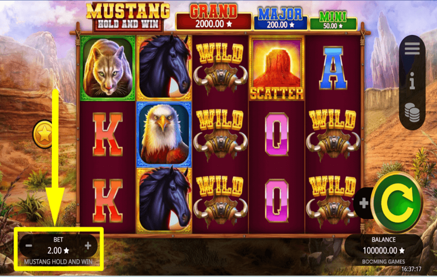 Mustang Hold and Win DÉTERMINEZ LES ENJEUX.