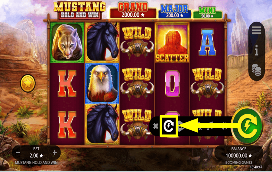 Mustang Hold and Win ACCÉLÉREZ VOTRE RYTHME.