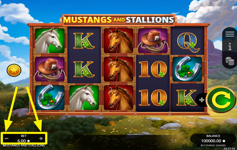 Mustangs and Stallions ОПРЕДЕЛИТЕ СВОЮ СТАВКУ.