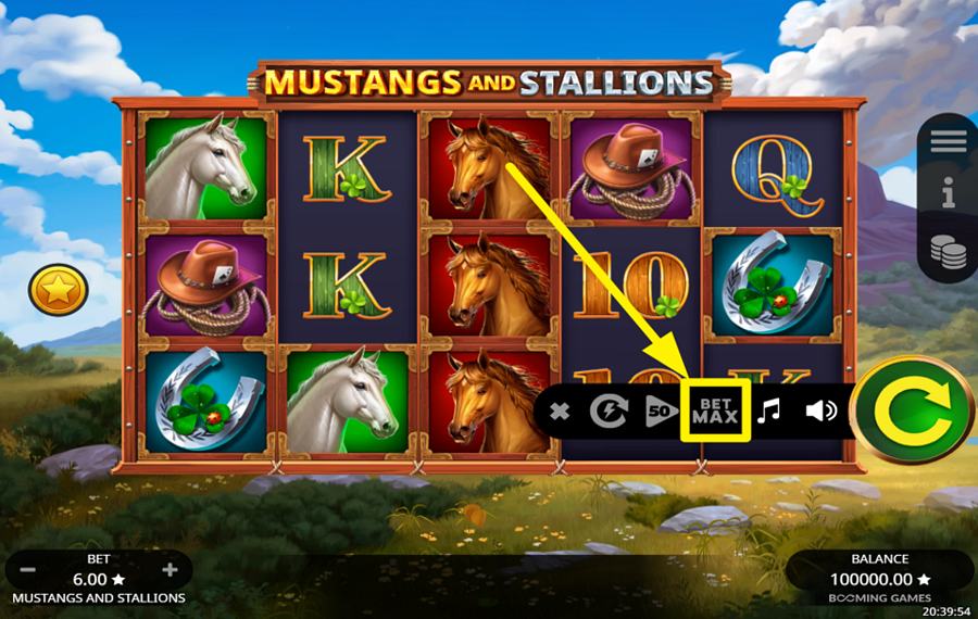 Mustangs and Stallions ОПРЕДЕЛИТЕ ПИКОВУЮ СУММУ СТАВКИ.