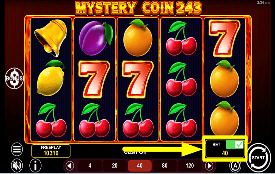 Mystery Coin 243 BOOST THE ODDS.